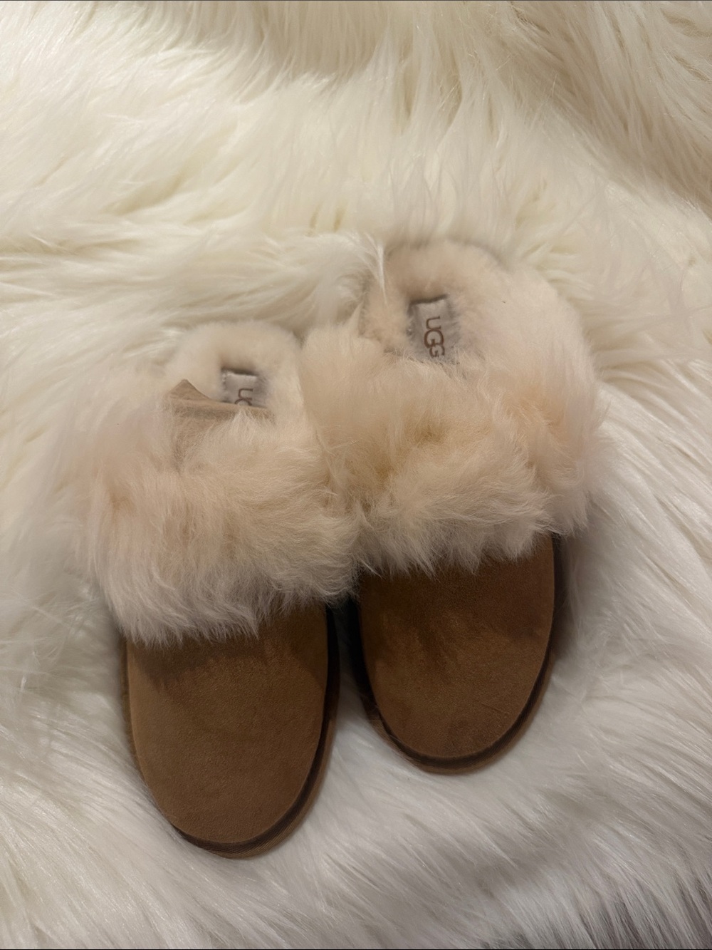 UGG Brown Logo Shoe Box